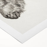 Classic Romantic Paintings: Three Oxen by John Singer Sargent