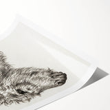 Classic Romantic Paintings: Three Oxen by John Singer Sargent