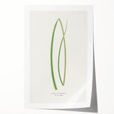 Famous Romantic Era Art: Sailing on the Humber