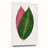 Historical Romanticism Canvas: Henri IV and Marie de’ Medici by Delacroix