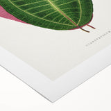 Historical Romanticism Canvas: Henri IV and Marie de’ Medici by Delacroix