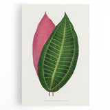 Historical Romanticism Canvas: Henri IV and Marie de’ Medici by Delacroix