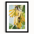 Extra large abstract art print featuring vivid, colorful fruit designs on a textured canvas, framed in black.