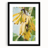 Extra large abstract art print featuring vivid, colorful fruit designs on a textured canvas, framed in black.
