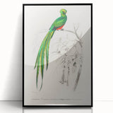 Classic Romantic Paintings: Farmyard Fowls by John James Audubon