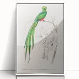 Classic Romantic Paintings: Farmyard Fowls by John James Audubon