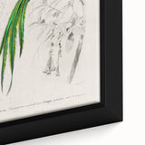 Classic Romantic Paintings: Farmyard Fowls by John James Audubon