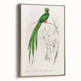 Classic Romantic Paintings: Farmyard Fowls by John James Audubon