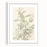 Abstract floral art print framed in white matting, showcasing vibrant colors and intricate designs, perfect for home decor or artistic enhancement.