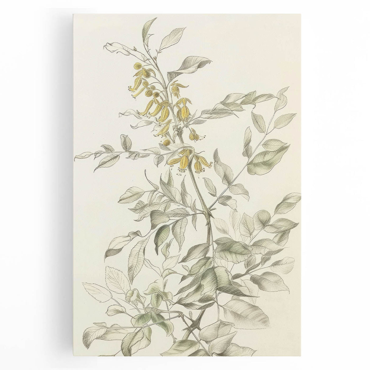 Vibrant abstract floral stretched canvas artwork showcasing bold colors like deep blues, rich pinks, and soft yellows, perfect for modern home decor.