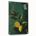 Acrylic print of large abstract fruits in vibrant colors, suitable for dining room or bedroom decor.