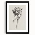 Abstract floral frame design with a black mat, showcasing vibrant colors and intricate patterns; ideal for modern home decor or artwork display.