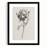 Abstract floral frame design with a black mat, showcasing vibrant colors and intricate patterns; ideal for modern home decor or artwork display.