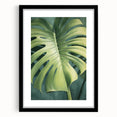 Black-framed wall art displaying an intricate design of flowers and botanical leaves, featuring a mat for added elegance, perfect for home decor enhancement.