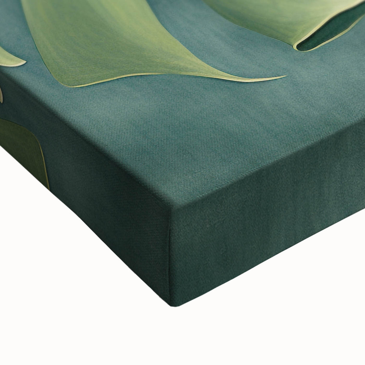 Close-up view of vibrant floral and botanical wall art on stretched canvas, showcasing rich colors and intricate details, perfect for home décor enhancement.