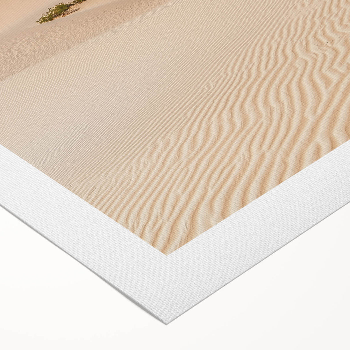 Desert landscape rolled canvas showcasing gentle dunes and a warm color palette, elegantly packaged in a protective cardboard tube, perfect for home decor.