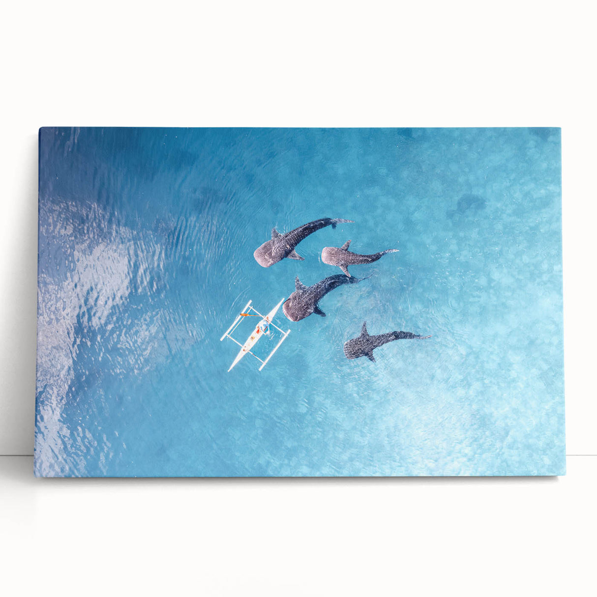 Black and white stretched canvas featuring a serene Philippine landscape, ideal for kitchen wall art or bedroom ambiance.