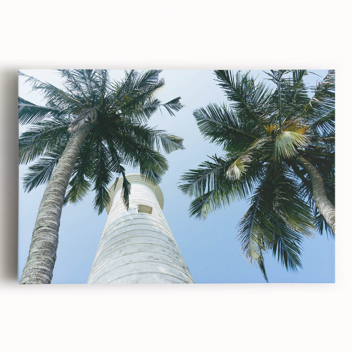 Black and white stretched canvas of Sri Lankan landscape, ideal for kitchen wall art.