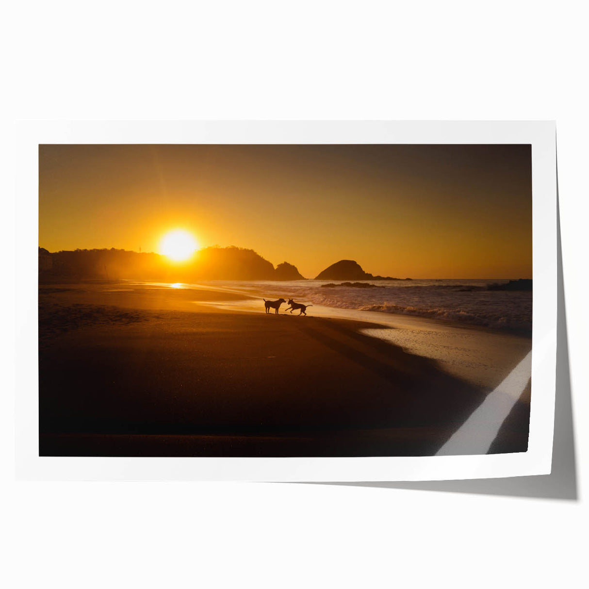 Extra large rolled print of Oaxaca scenery with vibrant floral elements, ideal for art wall dining room.