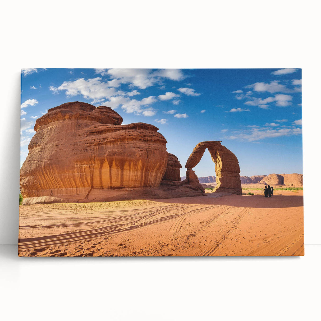 Black and white stretched canvas featuring a panoramic view of a Saudi Arabian landscape, ideal for kitchen wall art.
