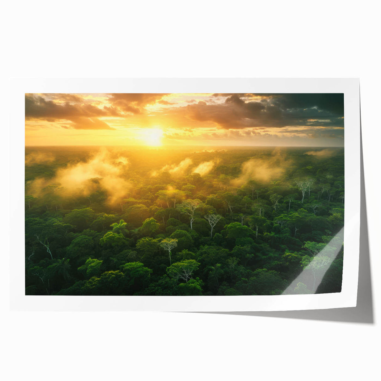 Extra large rolled print of a vibrant Colombian landscape with lush greenery and floral elements.