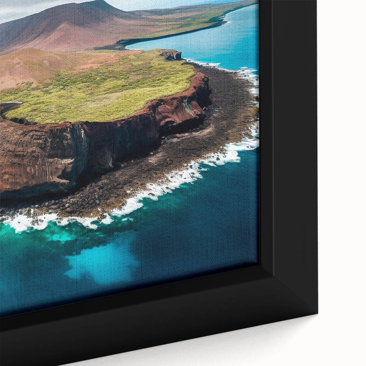 Extra large framed canvas featuring a textured depiction of the Galapagos scenery in black with colorful accents.