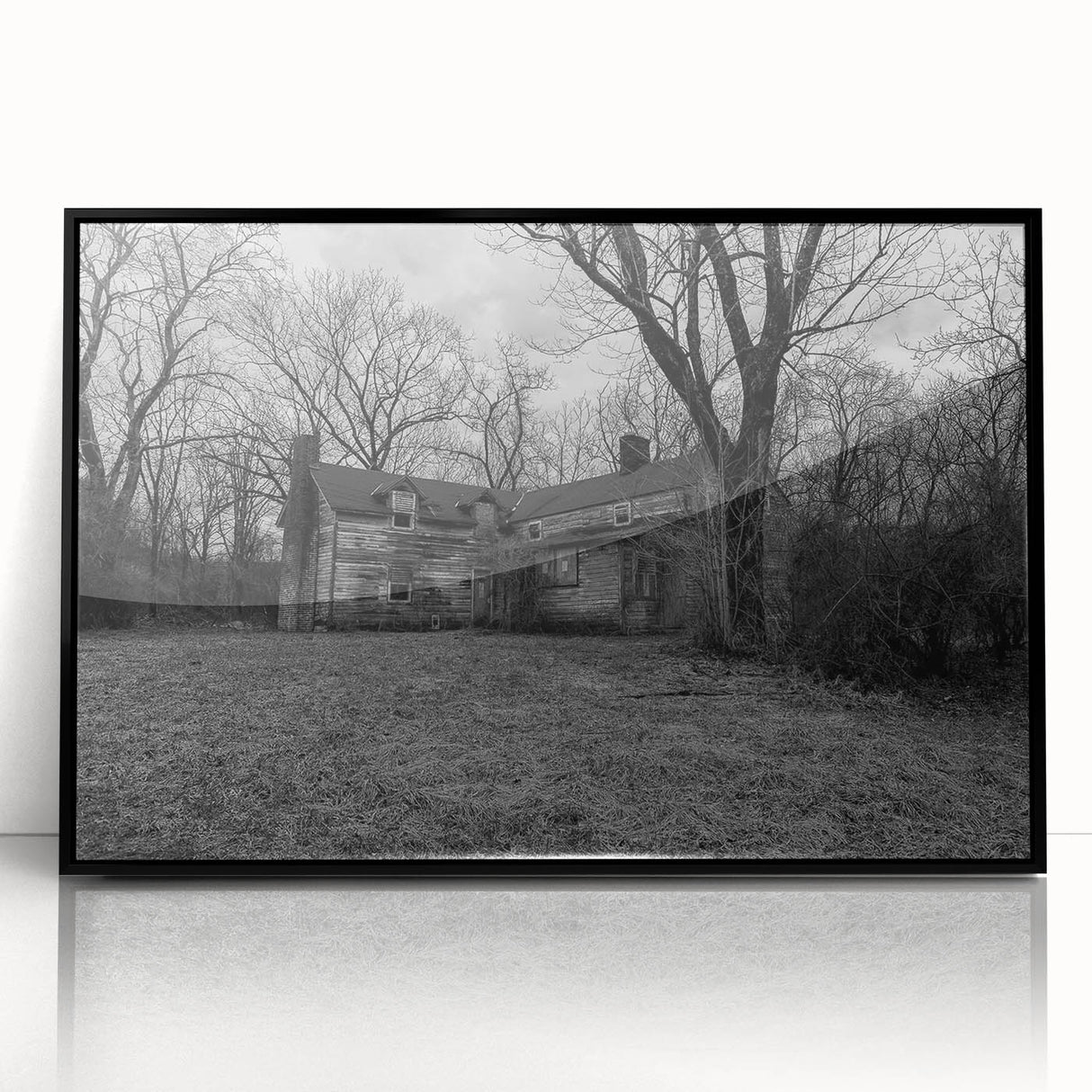 Large abstract wall art depicting a Delaware scenery in black and white tones on a framed acrylic.