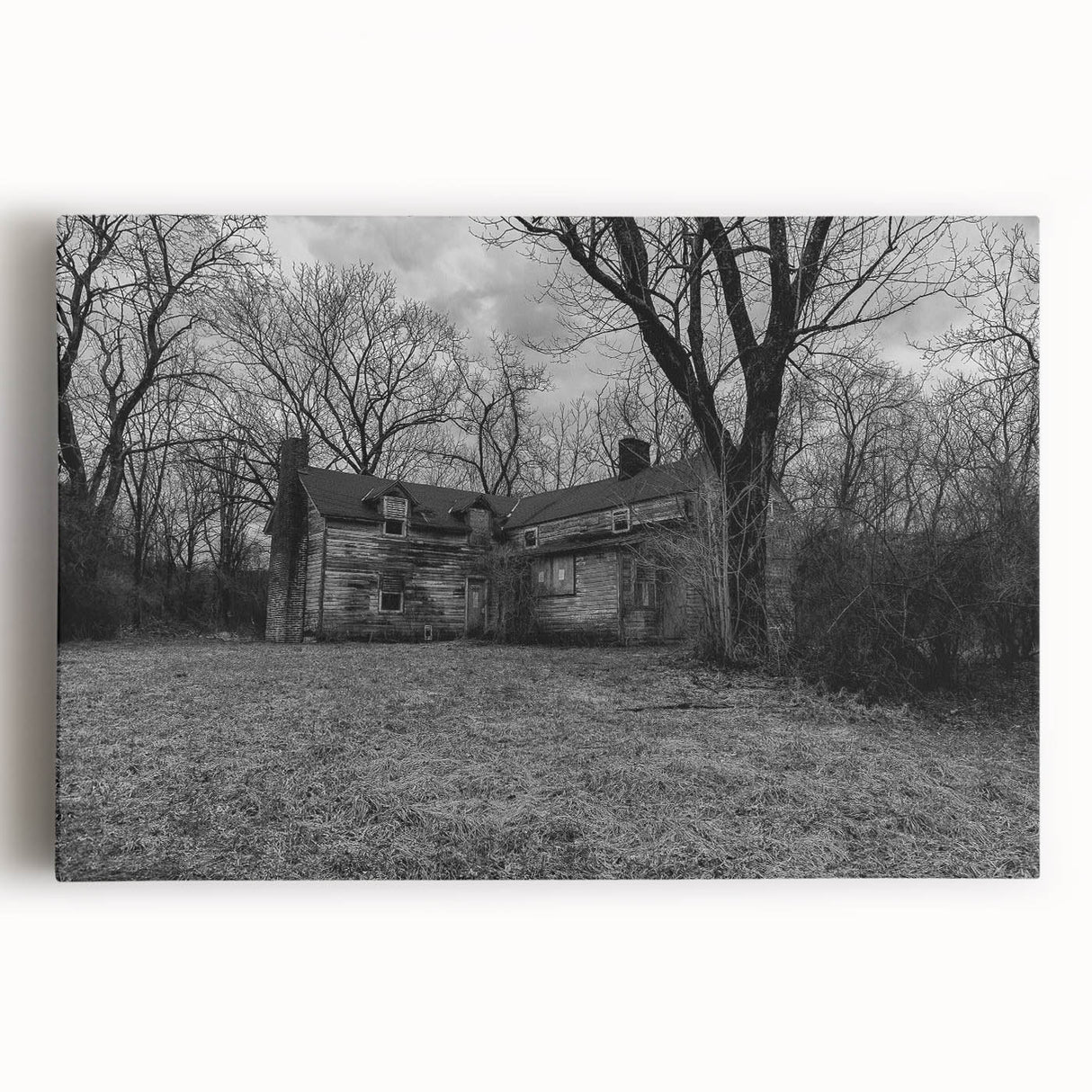 Black and white photograph of Delaware scenery on large stretched canvas, suitable as kitchen wall art.