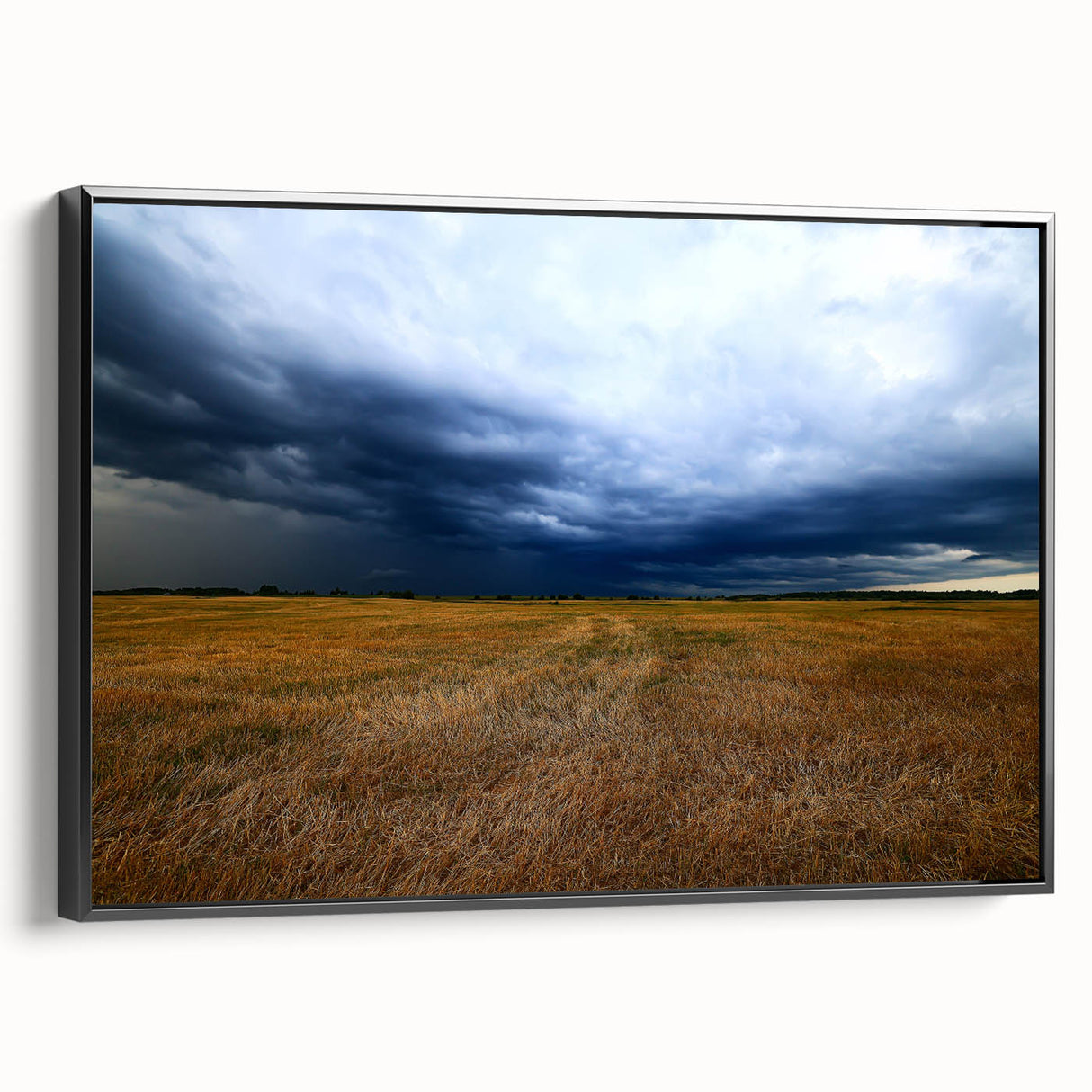 Black and white landscape art painting of a Kansas scenery on framed canvas, suitable for bedroom wall decor.