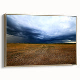 Framed canvas wall art of a Kansas landscape in muted gold and black tones, suitable for bedroom decor.