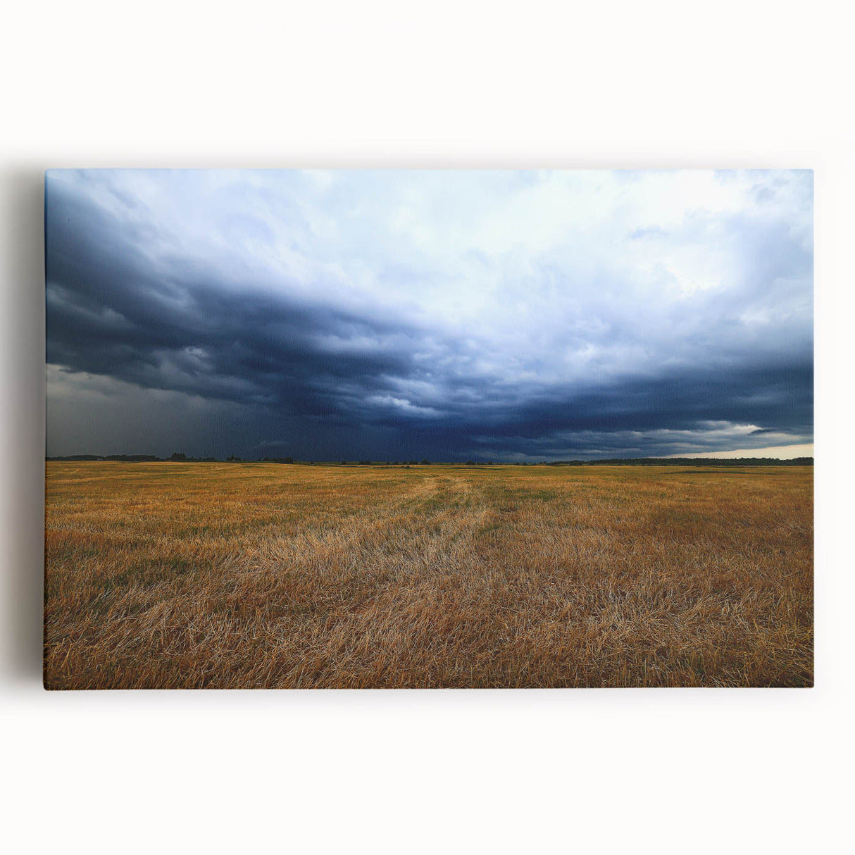 Black and white photo of Kansas scenery on large stretched canvas, ideal for kitchen wall art.