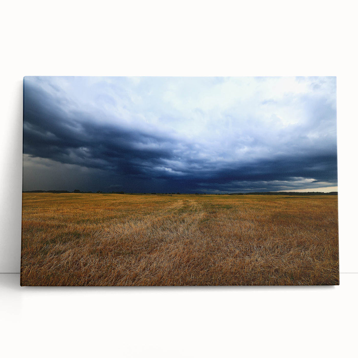 Black and white stretched canvas of Kansas scenery, ideal for kitchen wall art or bedroom decor.