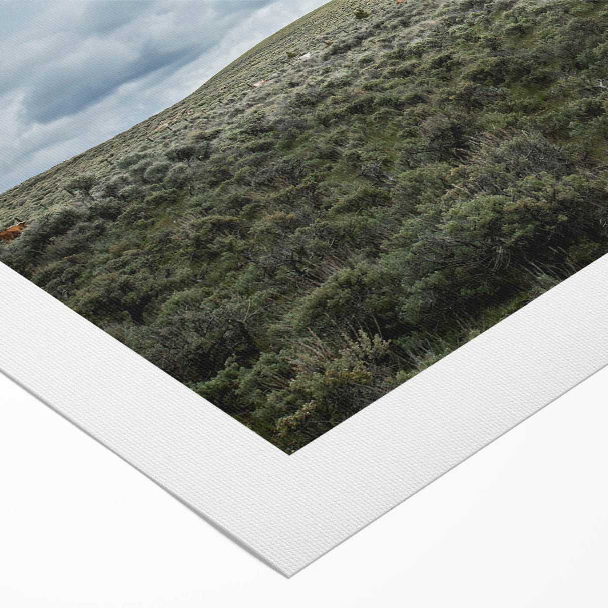 Art deco poster featuring a serene Montana landscape in muted earth tones on rolled canvas, suitable for dining room decor.
