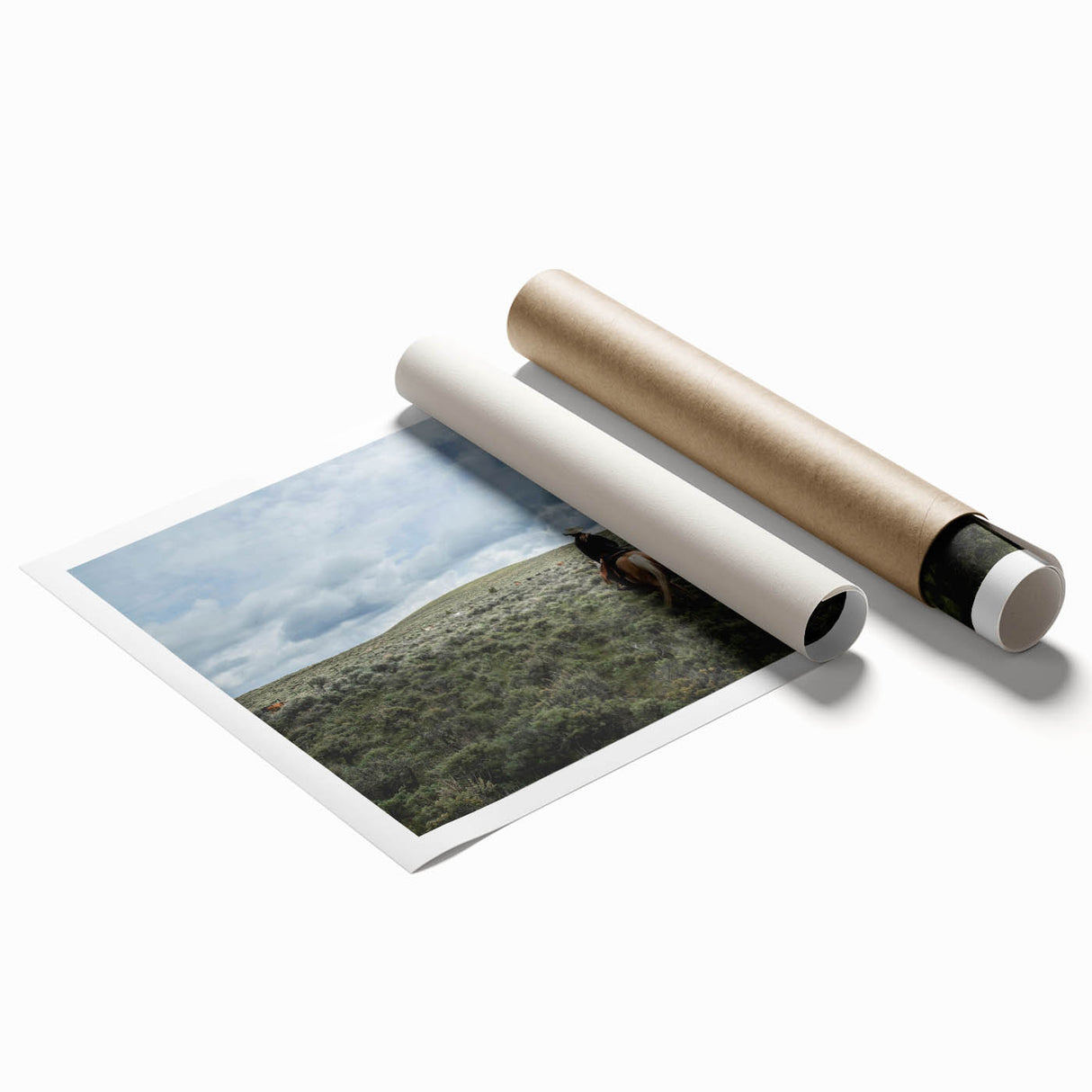 Rolled print of Montana scenery with vibrant green and blue tones, ideal for classy bathroom wall art.