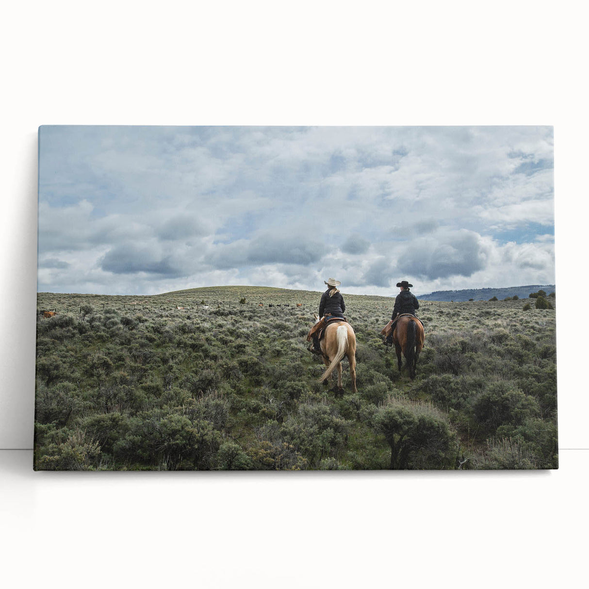 Black and white landscape of Montana on large stretched canvas, ideal for kitchen wall art or bedroom ambiance.