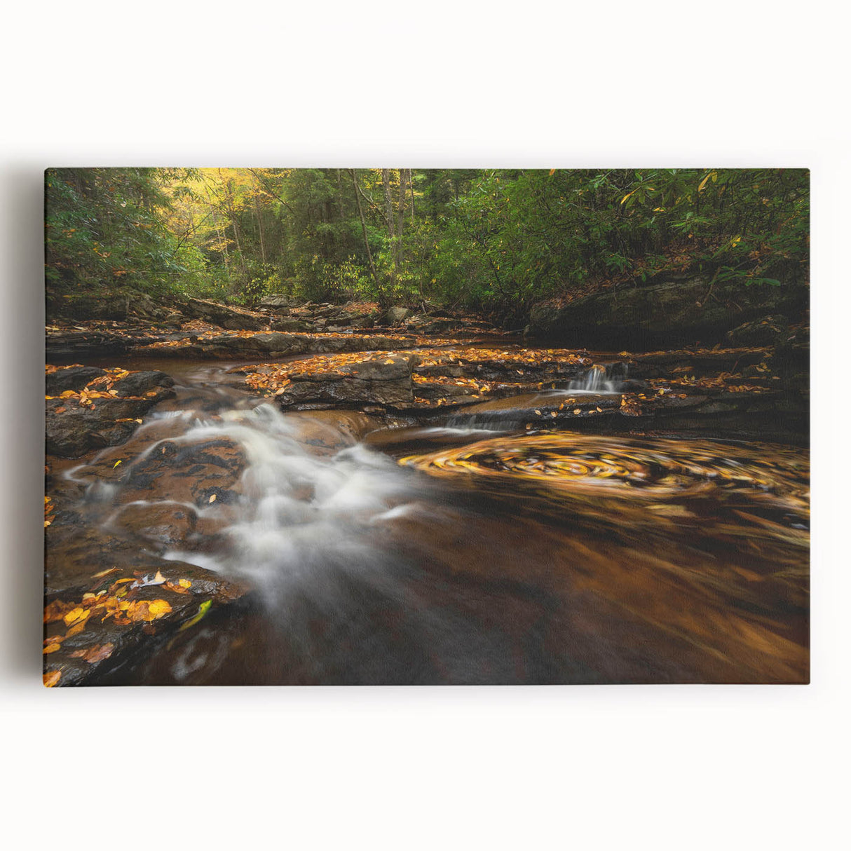 Black and white photograph of West Virginia scenery on large stretched canvas, suitable for kitchen art.