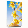 Large abstract wall art on acrylic glass depicting vibrant spring colors, ideal for bedroom or dining room decor.