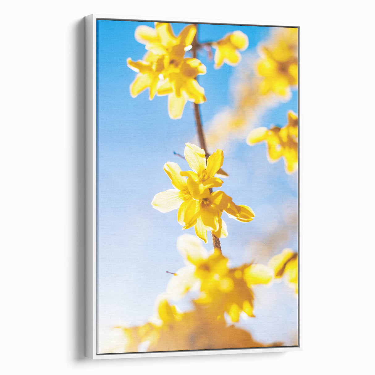 Vintage poster art of spring season on framed canvas, featuring colorful floral motifs on a black background.