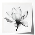 Abstract floral art print showcasing vibrant colors and intricate designs, presented in a glossy finish. Ideal for modern home decor or art enthusiasts.