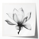 Abstract floral art print showcasing vibrant colors and intricate designs, presented in a glossy finish. Ideal for modern home decor or art enthusiasts.