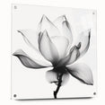 Abstract floral acrylic artwork displayed on a clear glass panel, highlighting vibrant colors and intricate patterns. The piece is secured with decorative pins, showcasing a modern design that enhances contemporary decor.