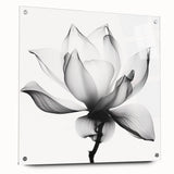 Abstract floral acrylic artwork displayed on a clear glass panel, highlighting vibrant colors and intricate patterns. The piece is secured with decorative pins, showcasing a modern design that enhances contemporary decor.