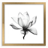 Elegant abstract floral frame with a gold mat, showcasing intricate designs and vibrant colors, perfect for enhancing home decor or gallery walls.