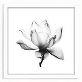 Abstract floral design framed in a white mat, showcasing vibrant colors and intricate patterns, perfect for modern home decor or art enthusiasts.