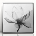 Framed acrylic artwork showcasing an abstract floral design with vibrant colors, set against a sleek black frame, perfect for modern home decor.
