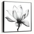 Framed canvas artwork showcasing abstract floral designs in vibrant colors, presented in a sleek black frame, perfect for modern home decor. Ideal for adding elegance and style to any living space.