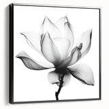 Framed canvas artwork showcasing abstract floral designs in vibrant colors, presented in a sleek black frame, perfect for modern home decor. Ideal for adding elegance and style to any living space.