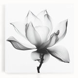 Vibrant abstract floral design on stretched canvas, showcasing bold colors and intricate patterns, ideal for modern home decor or art enthusiasts.