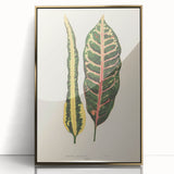 Romanticism Art: Croton Botanical Illustration for Classic Decor