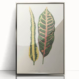 Romanticism Art: Croton Botanical Illustration for Classic Decor